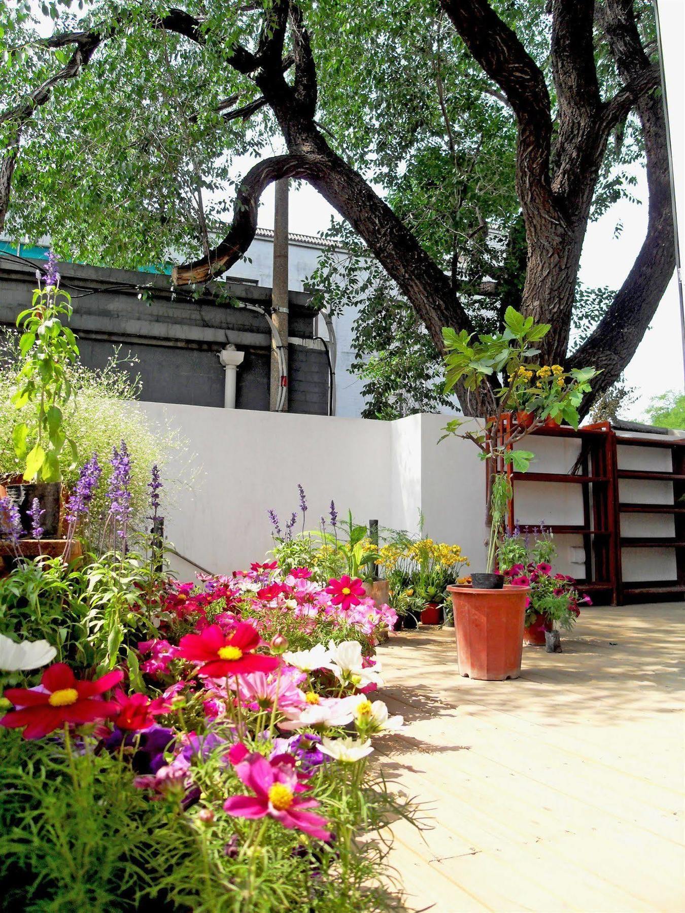 Beijing Wohkoon Hostel-Nan Luo Gu Xiang Branch Ngoại thất bức ảnh